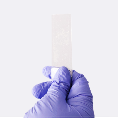 Scan the barcode on a standard slide
75x25x1 mm with adhesive tape