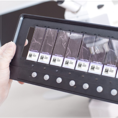 Upload the slides to the cassette.
Install the cassette into the system
and run the scan